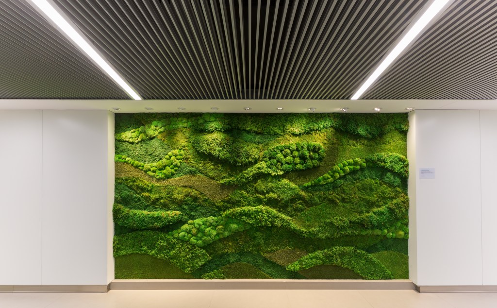 This image has an empty alt attribute; its file name is 201606orense005.jpg