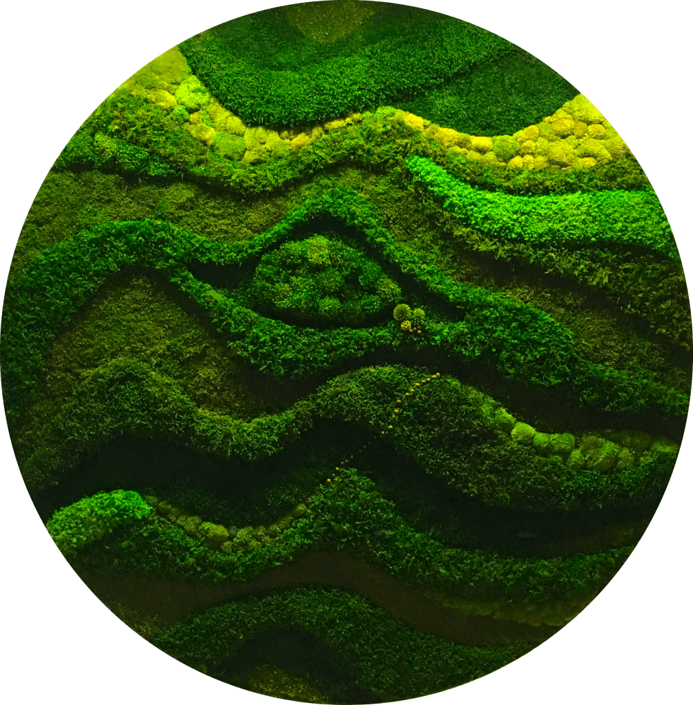 This image has an empty alt attribute; its file name is mandala-copia.png