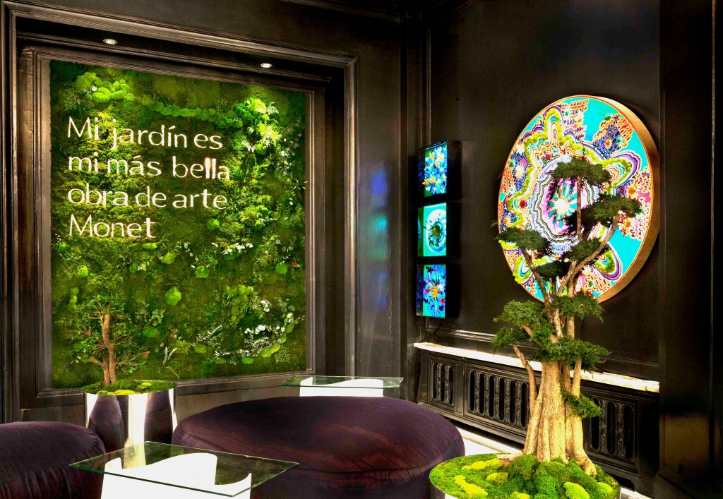 This image has an empty alt attribute; its file name is z9x1966-3.jpg